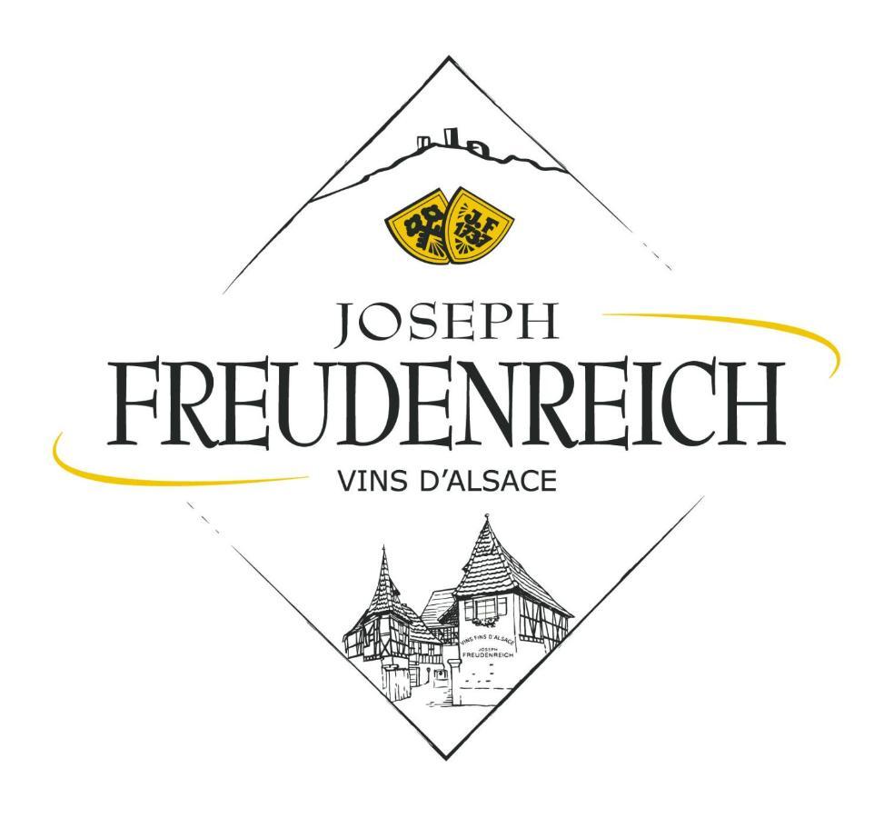 Les Chambres Du Domaine Eguisheim Kültér fotó
